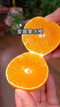 爱媛果冻橙好吃又美味