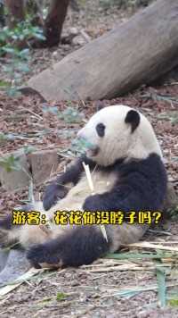 大熊猫和花：哼！看清楚咯，这不是脖子吗？