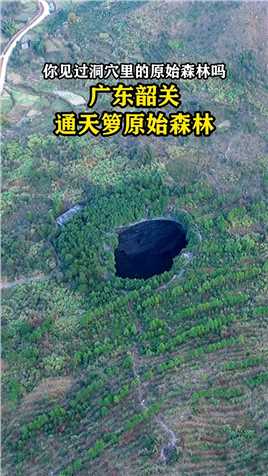 大山发现一神秘洞穴，号称中华第一洞，在中国仅仅发现这一处，在世界上亦属罕见！#旅行大玩家 #天坑 #探洞 #通天箩.

