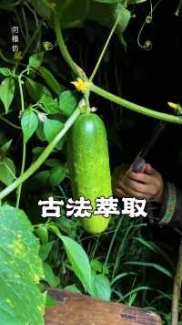 食谱：丝瓜水蛋汤