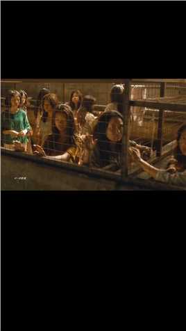 第3集，人贩子的可恶令人发指，无数少女在运输途中殒命《人皮交易》宅家剧场动作