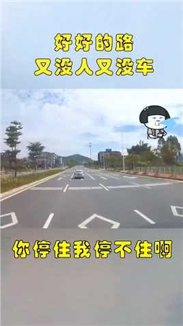 白车突然刹停，大车一下子没注意，打了个方向盘还是撞到了！