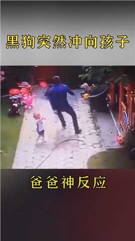 爸爸接孩子回家，碰上黑狗冲向孩子，父亲神反应救下孩子