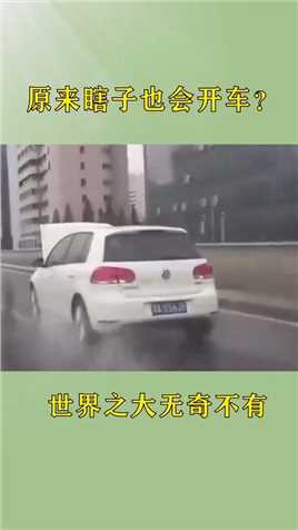 白车司机：懂不懂什么叫听声辨位，我技术比你还好呢！