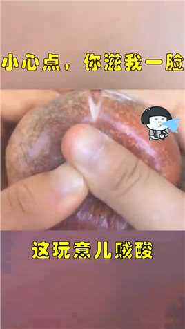掰百香果，没想到会滋我一脸，太意外了！
