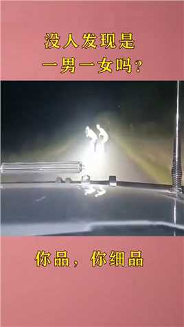 半夜开车看到这一幕，真是长见识了！