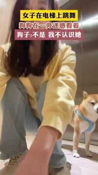 女子在电梯上跳舞狗狗在一旁迷感看着狗子:不是 我不认识她
