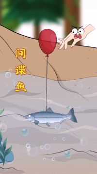 钓不到鱼？在鱼身上系上气球，就能找到鱼窝啦！