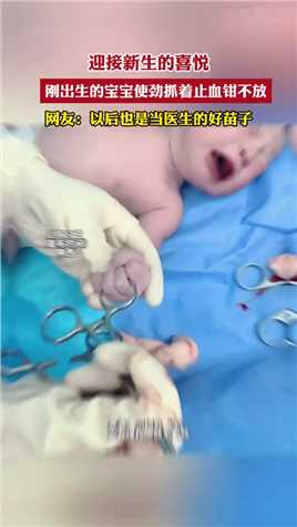 迎接新生的喜悦，刚出生的宝宝使劲抓着止血钳不放