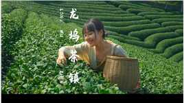 江南春风有信，龙坞茶香无边。陆羽泡的茶和爷爷泡的茶在对话，隔着一千多年。