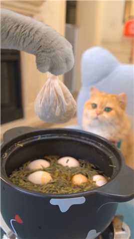 可爱猫咪自制茶叶蛋，想不想来一口呀？