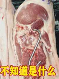 猪身上最脏的五个部位,专家建议要少吃，很多人都不知道是什么#猪肉#猪大肠#猪肺#猪肝#猪脑