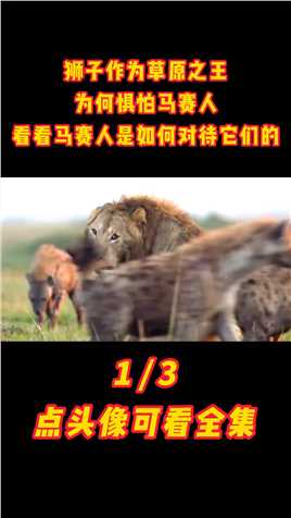 狮子作为草原之王，为何惧怕马赛人，看看马赛人是如何对待它们的#狮子#马赛人#保护动物#草原之王 (1)
