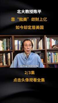 北大教授陈平，靠“批美”在中国走红，如今却定居美国#人物故事#经济#人性 (2)