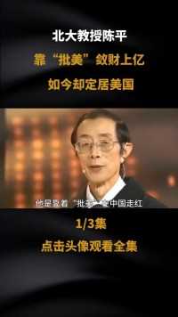 北大教授陈平，靠“批美”在中国走红，如今却定居美国#人物故事#经济#人性 (1)