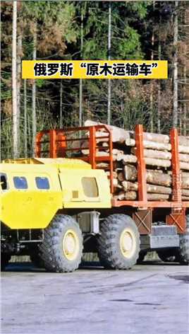 俄罗斯“原木运输车”，专业拉白杨，闲时拉原木，没毛病