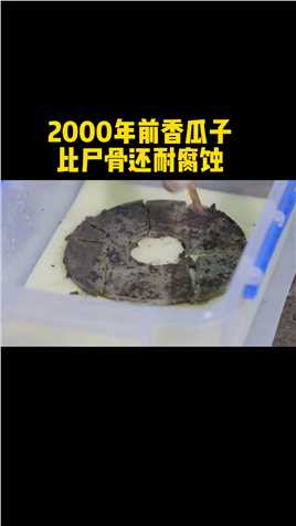 2000年前的香瓜子，出土时完好无损，揭秘刘贺死亡之谜？