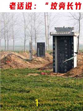 老话说：“坟旁长竹需迁坟，坟前两物成富人”，这是什么意思？#坟墓#风水#迷信#科普
