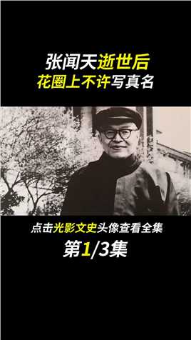 张闻天晚年没在北京定居，临终倒在警卫员怀中，去世后没有追悼会#fyp#人物故事#历史#张闻天 (1)