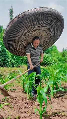 头一次见这么大的帽子😂 #三农 #农村生活