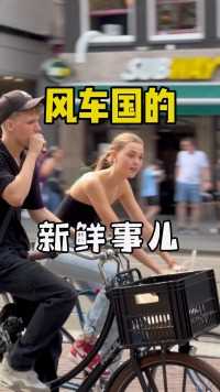 荷兰旅行推荐官