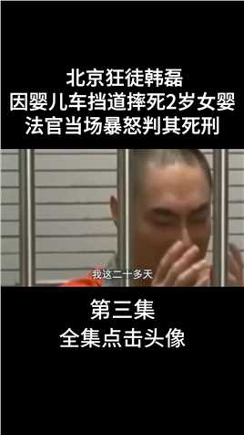 北京狂徒韩磊，因婴儿车挡道摔死2岁女婴，法官当场暴怒判其死刑 (3)