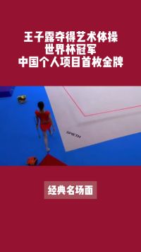 王子露夺得艺术体操世界杯冠军，中国个人项目首枚金牌