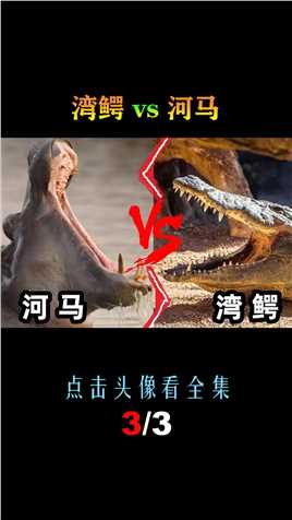湾鳄vs河马，当尖嘴兽遇到大嘴怪，谁会笑到最后呢？湾鳄河马 (3)