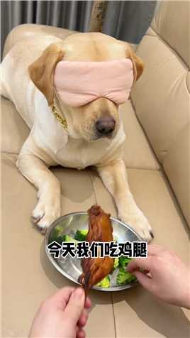 狗：这肉怎么菜里菜气的 #萌宠花式 #

