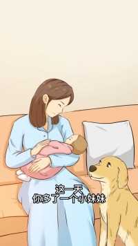 宝宝打翻牛奶被妈妈训，狗狗暖心保护。