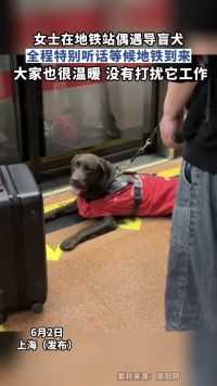女士地铁站偶遇导盲犬，全程特别听话，大家也很温暖没有打扰它工作