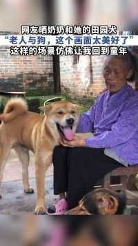 网友晒奶奶和她的田园犬，“老人与狗，这个画面太美好了”