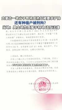 内蒙古一地谷子即将成熟却被要求铲除，还有种植户被刑拘？当地回应：其土地性质属于林地，违反法律