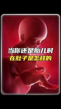 当你还是个胎儿的时候，你知道你每天都在干嘛吗#胎宝宝 #怀孕#涨知识