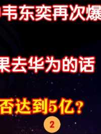 北大学神韦东奕再次爆红，韦神去华为的话，年薪能否达到5个亿？ (2)