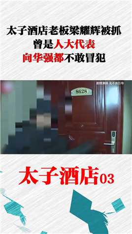 太子酒店老板梁耀辉被抓，曾是人大代表，向华强都不敢冒犯3