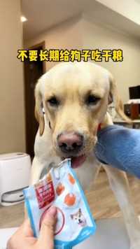 要适当给狗狗吃些湿粮食，嫌麻烦的可以给狗子试试这个肉粒包，营养丰富补水又补钙