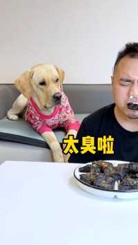原来狗子也不喜欢吃臭豆腐