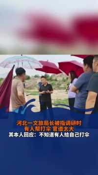 河北一文旅局长被指调研时官谱太大，其本人回应：不知道有人给自己打伞