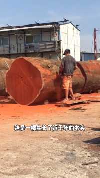 红花梨整体桌制作#木材加工#实木大板#源头厂家