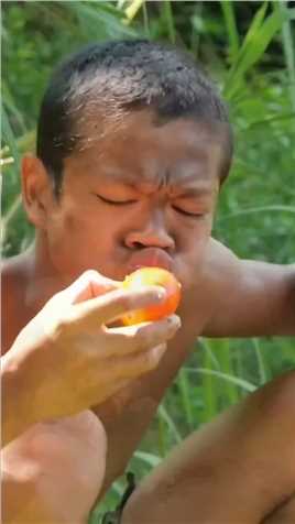 吃西红柿 