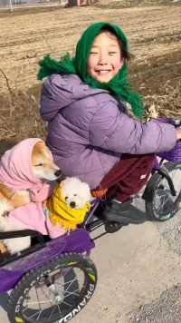  中午放学那会也得带狗子出来溜溜！