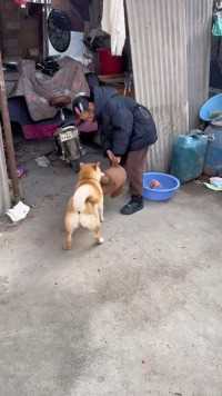 都给你说了不要抢她玩具，她不讲理，不信，看！挨咬了吧？