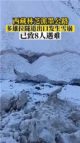 西藏林芝派墨公路多雄拉隧道出口发生雪崩  已致8人遇难#自然灾害 #西藏