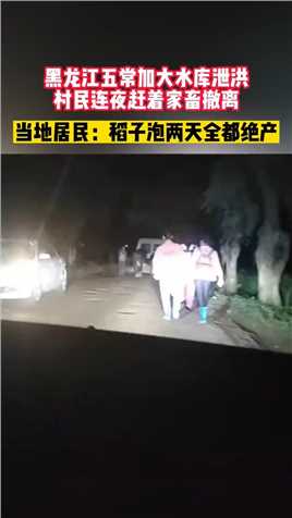 黑龙江五常加大水库泄洪，村民连夜赶着家畜撤离