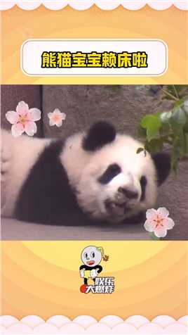 #国宝大熊猫 