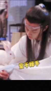 啥也不说了只想当那只兔子#陈情令#肖战王一博