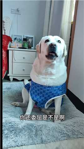 来微视，玩转互动视频。