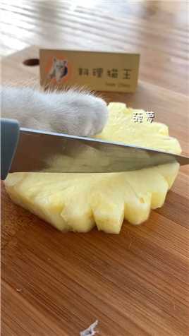 猫咪切菠萝的声音也好治愈呀，猫王建议你带上耳机会做饭的猫萌宠出道计划