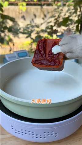 猫王：火锅底料加牛奶，在家就能做的正宗麻辣烫，好吃到汤都不剩